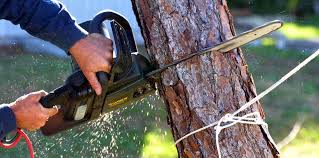 Best Aeration Services  in Fulshear, TX