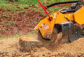 Lawn Renovation and Restoration in Fulshear, TX