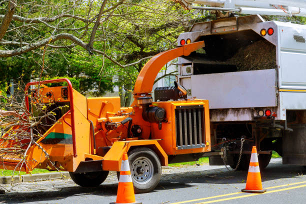 Best Arborist Consultation Services  in Fulshear, TX