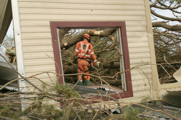 Best Firewood Processing and Delivery  in Fulshear, TX